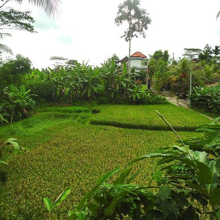 Mandala Hostel Ubud Εξωτερικό φωτογραφία