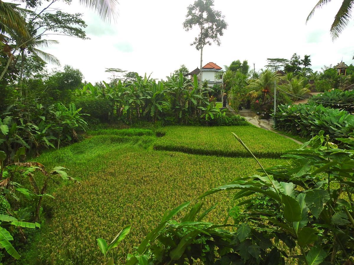 Mandala Hostel Ubud Εξωτερικό φωτογραφία