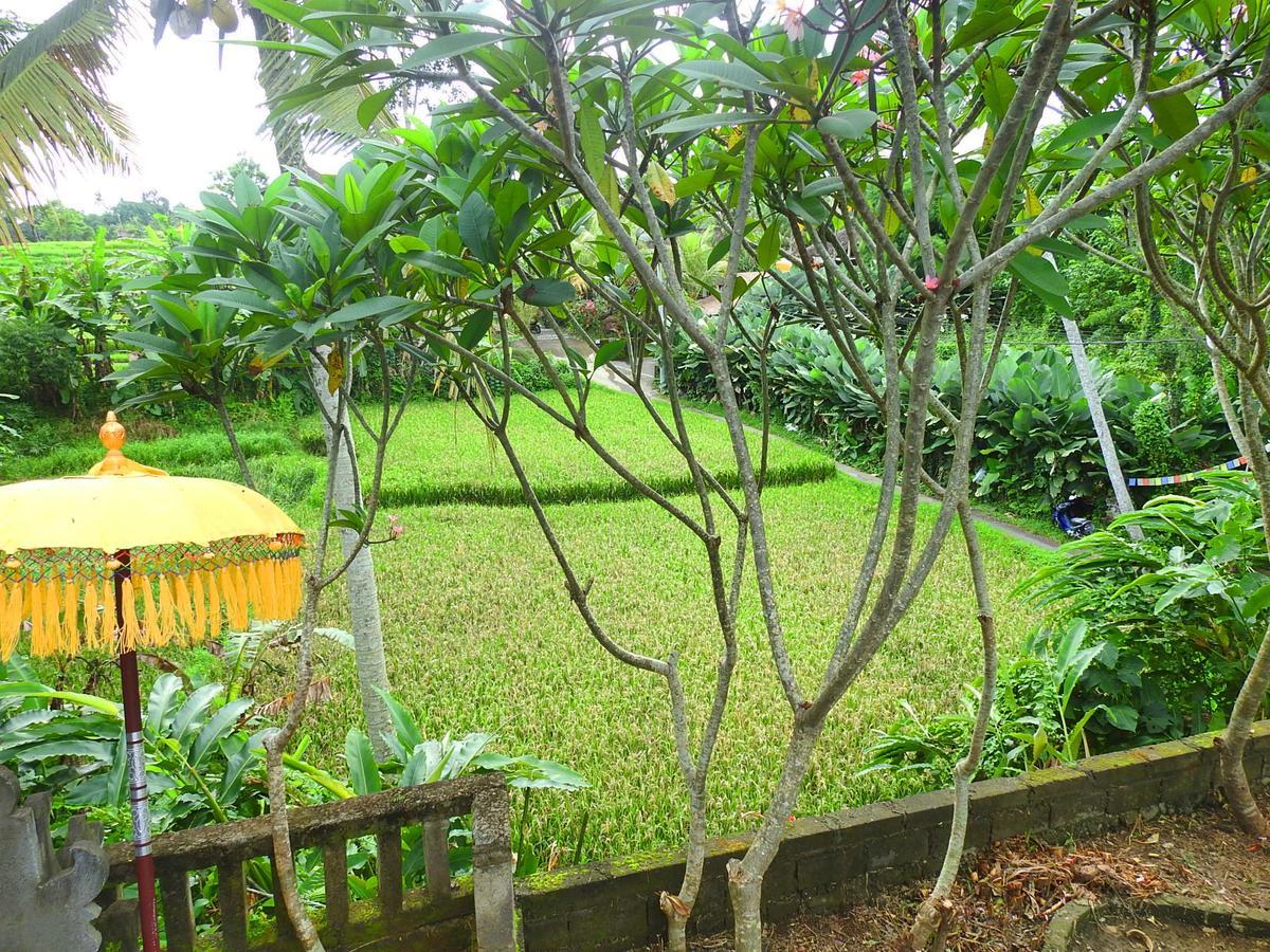 Mandala Hostel Ubud Εξωτερικό φωτογραφία