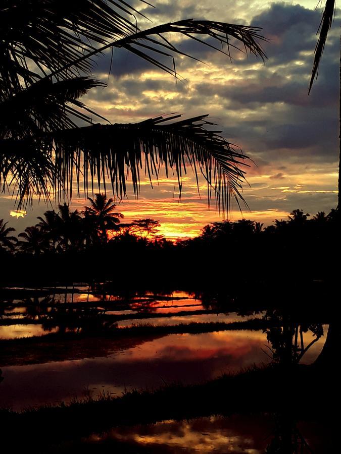 Mandala Hostel Ubud Εξωτερικό φωτογραφία