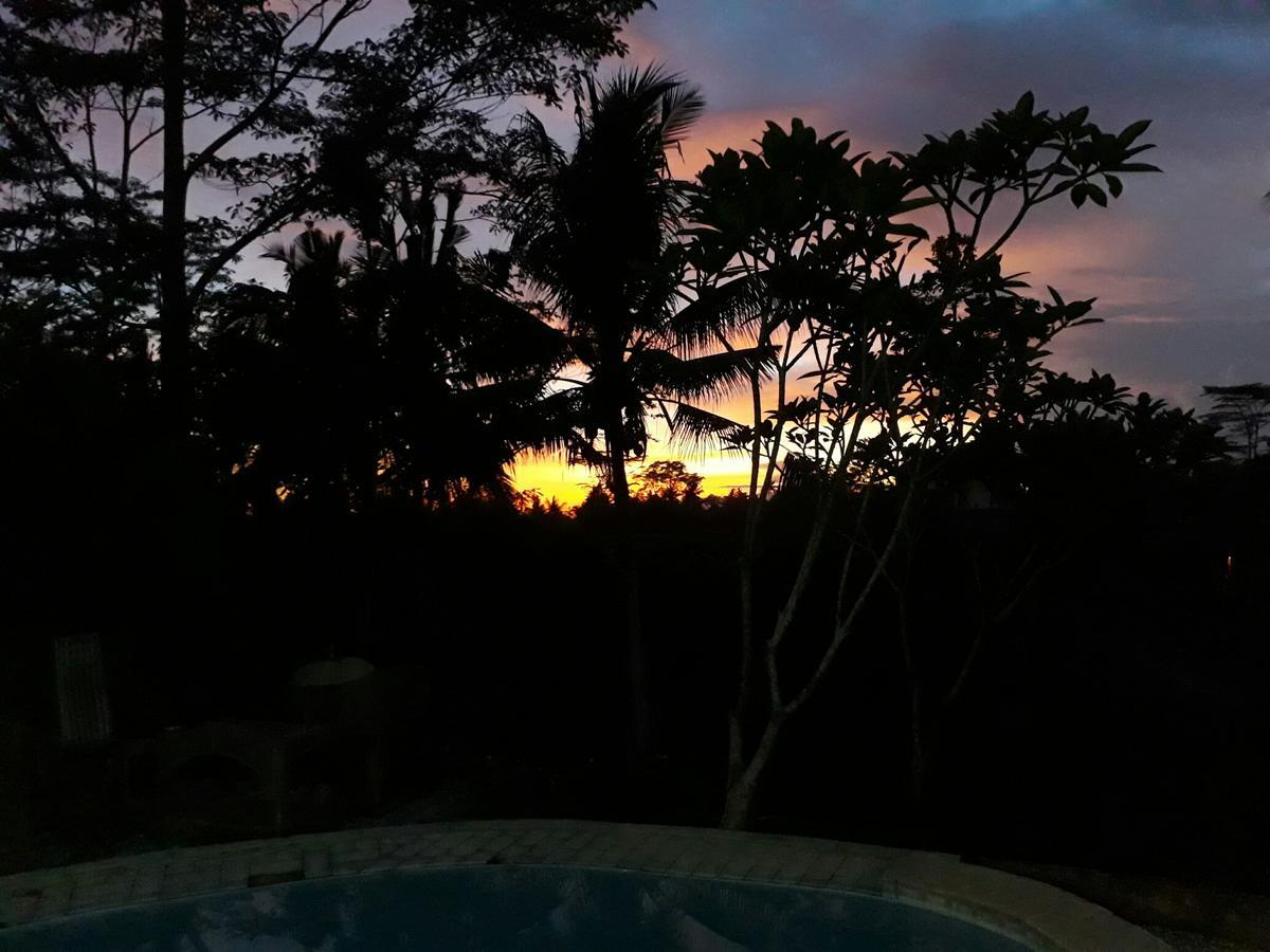 Mandala Hostel Ubud Εξωτερικό φωτογραφία