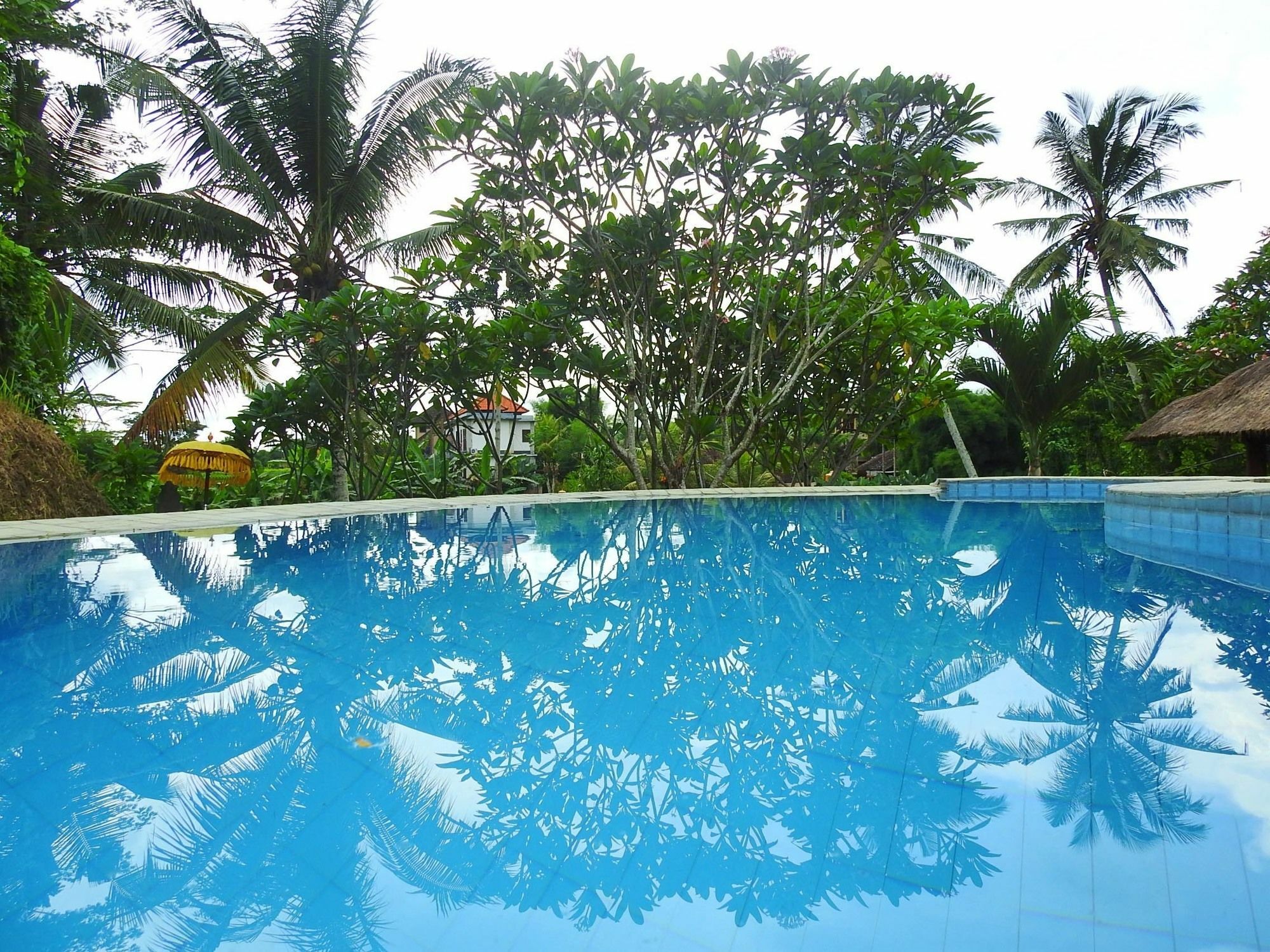 Mandala Hostel Ubud Εξωτερικό φωτογραφία