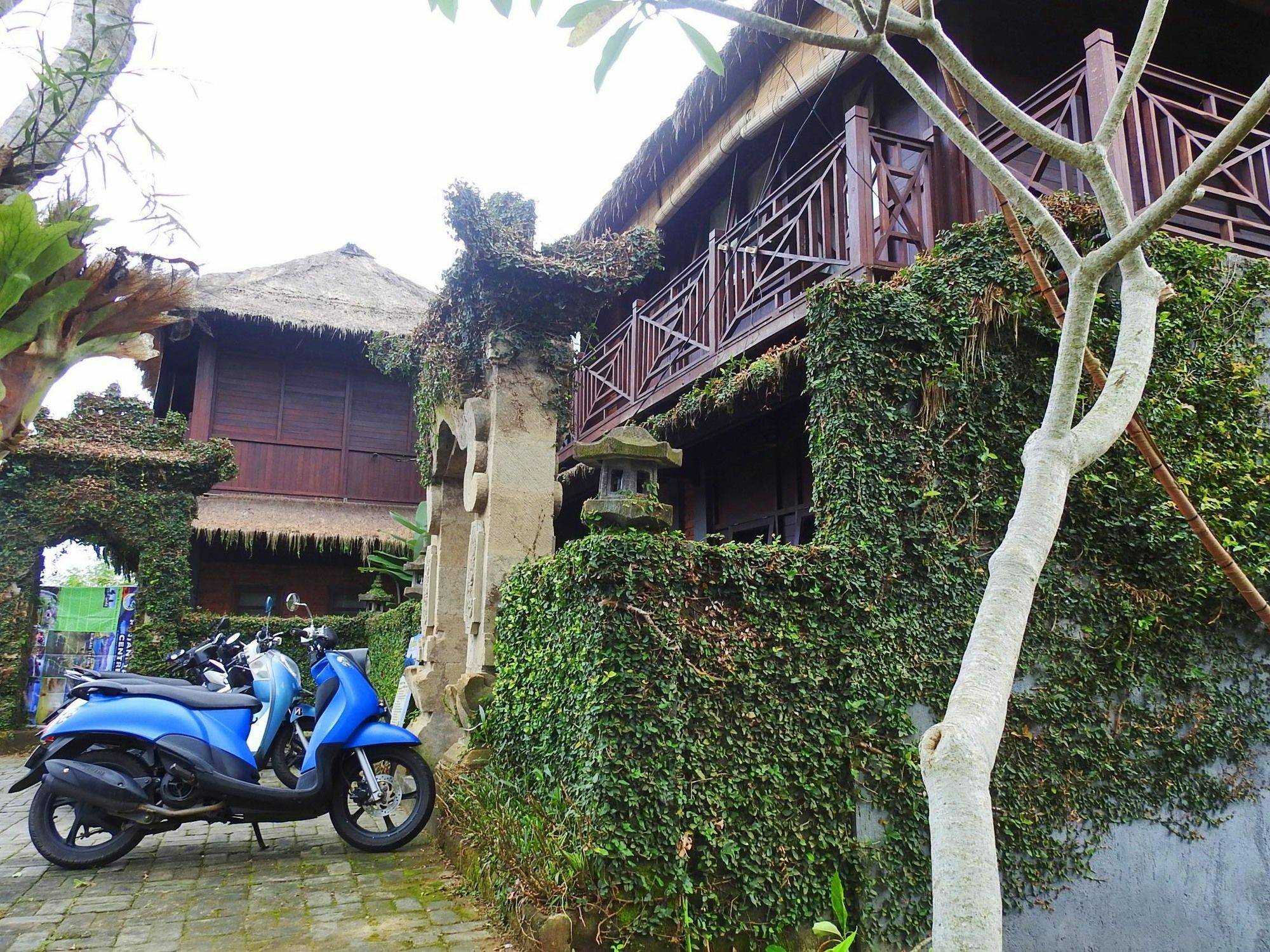 Mandala Hostel Ubud Εξωτερικό φωτογραφία